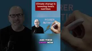 Thumbnail: Climate Change: The Hidden Food Crisis You Need to Know #shorts