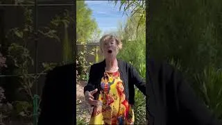 Thumbnail: Shani Wallis (Nancy) sings OOM PAH PAH and says thank you for your support on Britain's Got Talent
