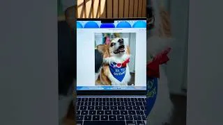 Thumbnail: My Most Important Subscription Isn't for Tech...