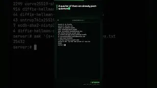 Thumbnail: More than a quarter of the machines attacking this server are post-quantum. #Shorts