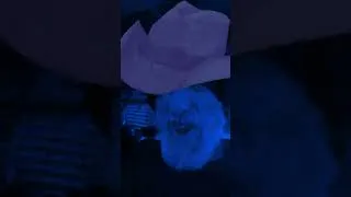 Thumbnail: paranormal pit hours