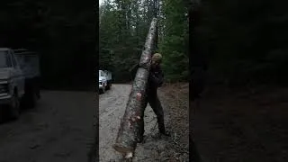 Thumbnail: Turning a Tree into a Trailer