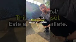 Thumbnail: Traduce CUADRO y CABALLETE al inglés