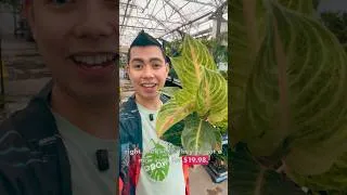 Thumbnail: Low Priced Rare Plants from Costa Farms