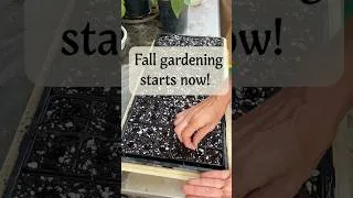 Thumbnail: Fall Gardening Starts Now! (in Ohio)