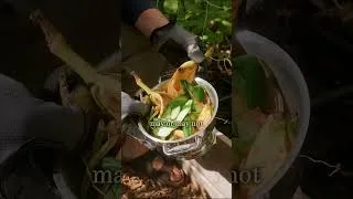 Thumbnail: Don't let summer kill your soil.