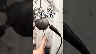Thumbnail: L. Ron Goes Full Psycho on a Helpless Tomato