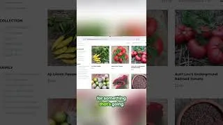 Thumbnail: This Will Be Your Best Tasting Heirloom Seed Harvest Yet #gardening #seedhaul