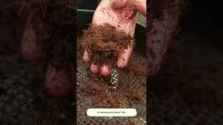 Thumbnail: The Perfect Potting Mix Recipe