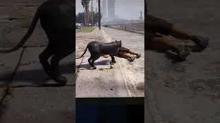 Thumbnail: Live highlight