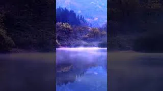 Thumbnail: Release Resentment Meditation — Part 3 #shorts