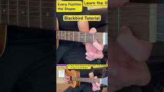 Thumbnail: Blackbird By The Beatles Tutorial Made for Beginners! Check my channel for the full video!