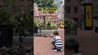 Thumbnail: Tunay Na Ligaya - by: Rodney G #musica #opm #musicantodance #musicvideo @highlights
