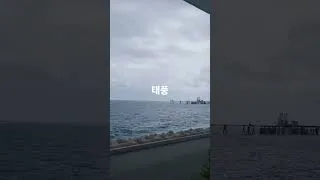 Thumbnail: 지심도 앞바다 태풍 돌핀 현황