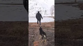 Thumbnail: winter Spiti 😍