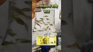 Thumbnail: 20 Rupees Wonder! Native Indian Fish Haul from Galiff Street | Kolkata Aquarium Market Vlog