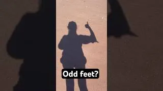 Thumbnail: Pink Beach and Weird Feet