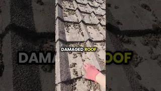 Thumbnail: Customer DIDN’T Want us Cleaning this Roof