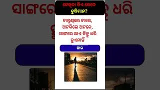 Thumbnail: ଯାହାକୁ ଧରିପାରିବ ନାହି ତାହା କଣ? #riddle #odia #challenge