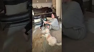 Thumbnail: Some parent and me fun things to do with little ones