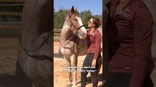 Thumbnail: Owner, Master, or Kahu? #equestrian