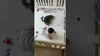 Thumbnail: Babies andThe benevolent cat that patiently plays with and protects its owner is a little tail.