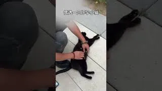 Thumbnail: Today I met a super cute and smart little black cat. Little black cat. Cute pet life fragments.