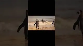 Thumbnail: Penguins are cool, but do they djent?