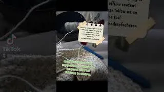 Thumbnail: Crochet and Chill #vtuber #envtuber #lgbtcommunity