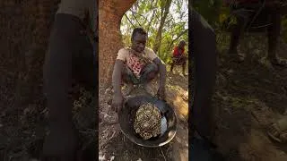 Thumbnail: Favorite Hadza ancient meal in the bush