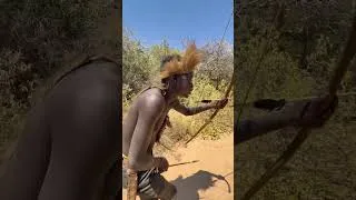 Thumbnail: The Hadzabe bow is a simple but highly effective and used for thousands of years