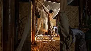 Thumbnail: The Khmer Slept Under Mosquito Nets 800 Years Ago