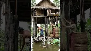 Thumbnail: Why Khmer Homes Stood High Above the Ground