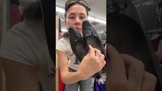 Thumbnail: everything i found at the thrift!! obsessed 💎