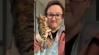 Thumbnail: Meeting The Cats At RSCPA!