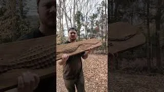 Thumbnail: Thermo ash 🐊