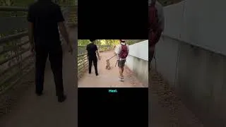 Thumbnail: Wait until your dog is DISTRACTED