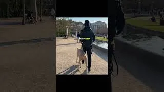 Thumbnail: Challenge your Fearful Dog's Predictions