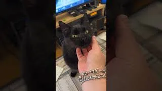 Thumbnail: Chin Scratches For Satan.  Merry Christmas!