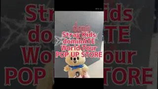 Thumbnail: POPUP行ってきました♡ #straykids #skz #コマ撮り動画