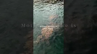 Thumbnail: Mother Nature is my muse
