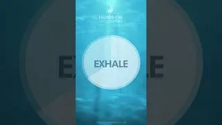 Thumbnail: 4-7-8 Calm Breathing Exercise | Unlimited Cycles | Beginner Pace | Pranayama | #shorts