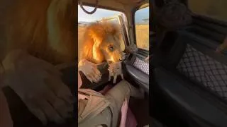 Thumbnail: They Didn’t Just Watch... They Acted! 🚨 Miracle Rescues #trend