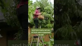 Thumbnail: Woman Grows 92% of Her Vegetables in a Tiny City Backyard!  #gardening  #sustainability