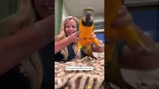 Thumbnail: This Parrot Was Tied to a Pole and Left to Die