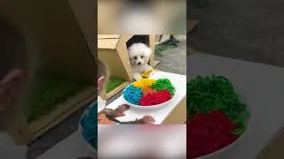 Thumbnail: BiBi makes colorful noodles for Amee #shorts