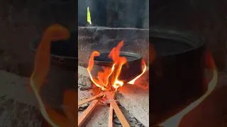 Thumbnail: वसई स्पेशल बोंबीलाचं बाफात! 😍 परंपरेची अस्सल चव | Vasai Special | #vasai #food #recipe #minivlog