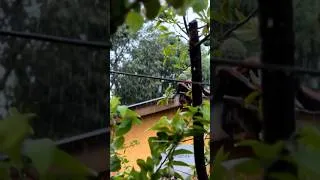 Thumbnail: This weather & No Stress! #vasai #minivlog #rainyday #monsoon