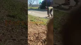 Thumbnail: First 2023 flips springtime skate street jam session for fun of sun💙 #spring #skate #joy