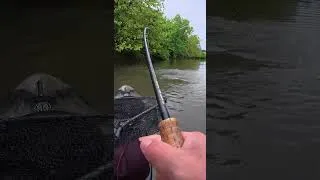 Thumbnail: THIS WAS INSANE!! #fishing #shorts #flyfishing